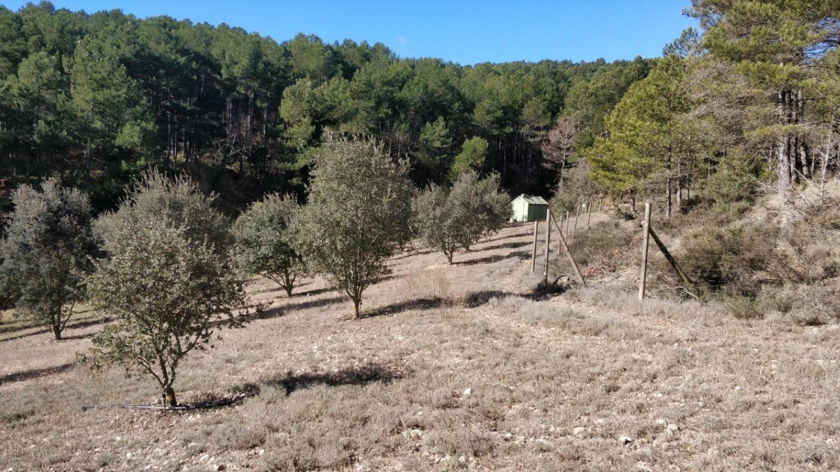 biotruf2