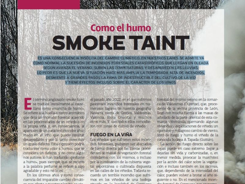 Smoke Taint: L'impacte del foc en el caràcter dels vins