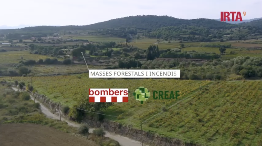 THE CLIMAVIT21 PROJECT OPENS THE DOOR TO INTEGRATED TOOLS FOR VINEYARDS