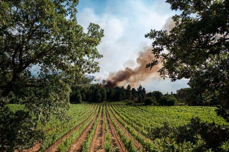 Fire Wine, exemple capdavanter en la prevenció d'incendis, segons la Comissió Europea