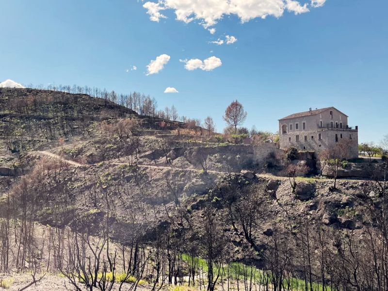 PRESENTATION OF THE EUROPEAN FIRE WINE PROJECT