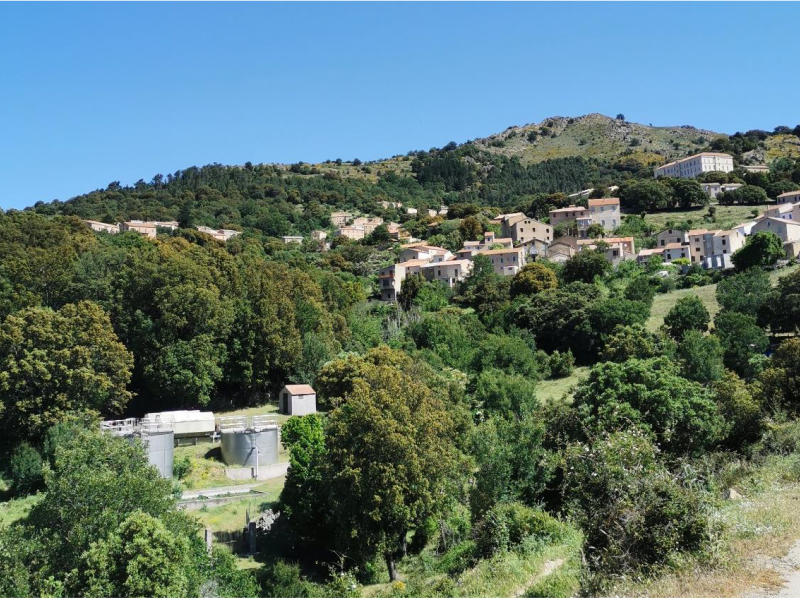 Living with fire in Corsica: rethinking risk at the landscape level