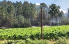 L’UE AUTORISE LES LABELS DISTINCTIFS “FIRE WINE” ET “FIRE PRODUCT” POUR LES PRODUCTEURS ENGAGÉS DANS LA PRÉVENTION DES INCENDIES
