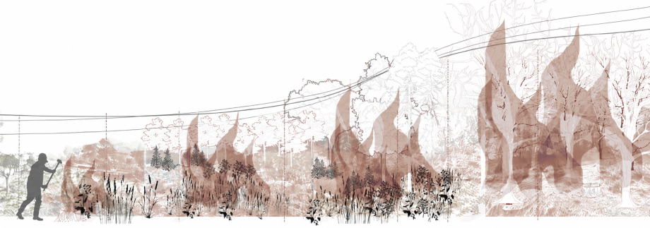 Wildfire risk : a Guide for Planners 