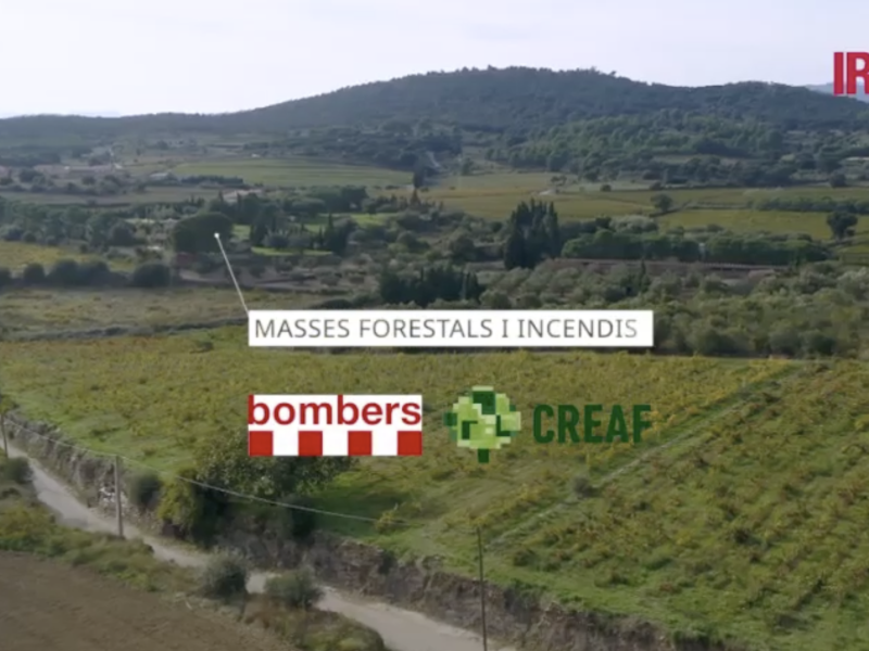 THE CLIMAVIT21 PROJECT OPENS THE DOOR TO INTEGRATED TOOLS FOR VINEYARDS