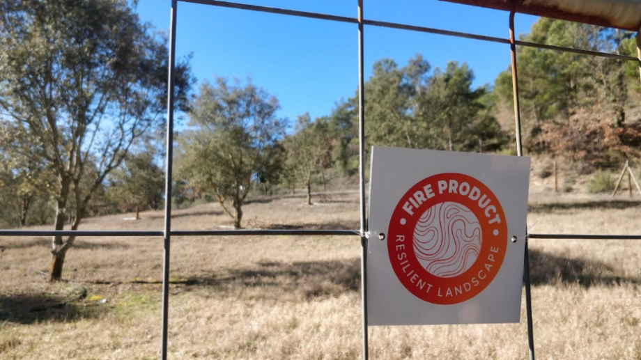 Trufficulture et paysage : une solution FireProduct en Ribera Salada