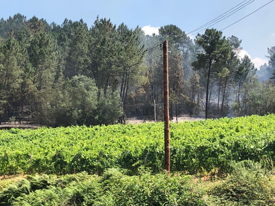 L’UE AUTORISE LES LABELS DISTINCTIFS “FIRE WINE” ET “FIRE PRODUCT” POUR LES PRODUCTEURS ENGAGÉS DANS LA PRÉVENTION DES INCENDIES