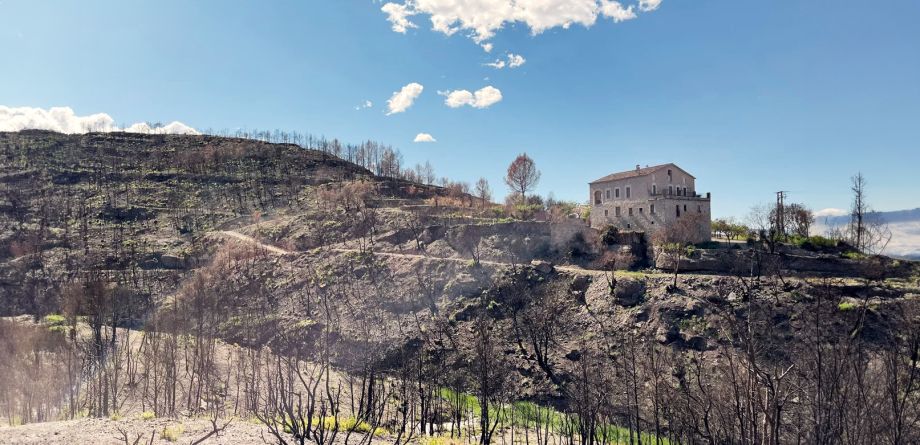 PRESENTATION OF THE EUROPEAN FIRE WINE PROJECT