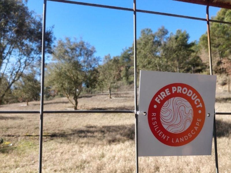 Trufficulture et paysage : une solution FireProduct en Ribera Salada