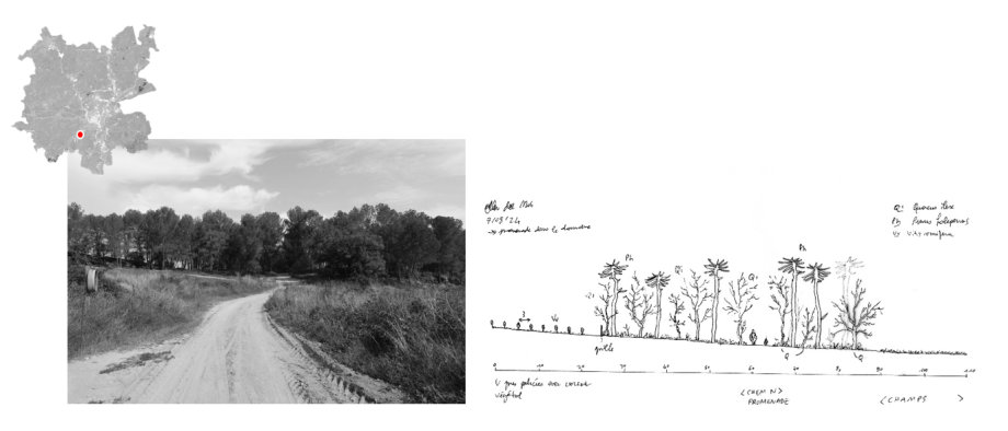 La viticultura, palanca per a la prevenció del risc d'incendi al Bages