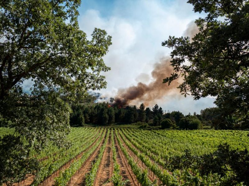 Fire Wine, exemple capdavanter en la prevenció d'incendis, segons la Comissió Europea