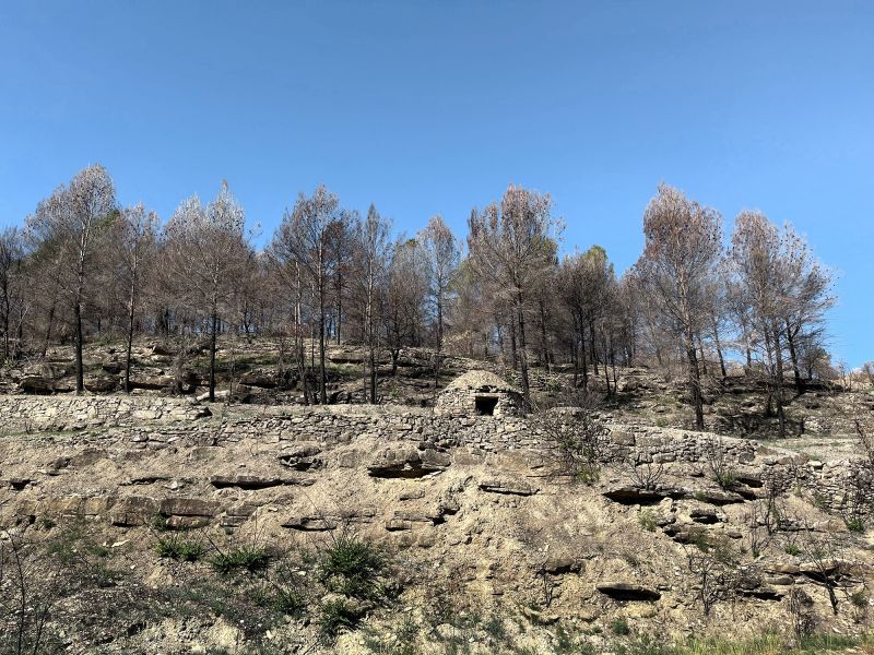 Remains of a winemaking past