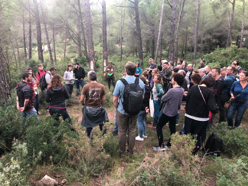 FIRE WINE AT THE EIGHTH MEDITERRANEAN FOREST WEEK OF THE FAO